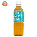 和光堂 1歳からのむぎ茶 500mlペットボトル×24本入×(2ケース)| 送料無料 お茶 ベビー用 赤ちゃん用 ノンカフェイン