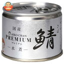 伊藤食品 あいこちゃん プレミアム 鯖水煮 190g缶×24個入| 送料無料 一般食品 缶詰 サバ さば