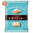 雪印メグミルク チーズのための玄米クラッカー 15g×8袋入×(2ケース)| 送料無料 お菓子 クラッカー スナック おつまみ