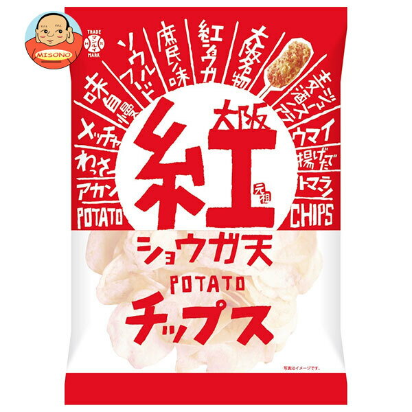 アイデアパッケージ 大阪 紅ショウガ天 ポテトチップス 90g×5袋入×(2ケース)| 送料無料 お菓子 おやつ スナック菓子 ポテチ