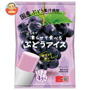 谷尾食糧工業 凍らせて食べる 国産ぶどうアイス (70g×4)×12袋入×(2ケース)| 送料無料 お菓子 アイス 国産 葡萄