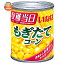いなば食品 もぎたてコーン 200g×24個入×(2ケース)| 送料無料 スイートコーン 缶 とうもろこし