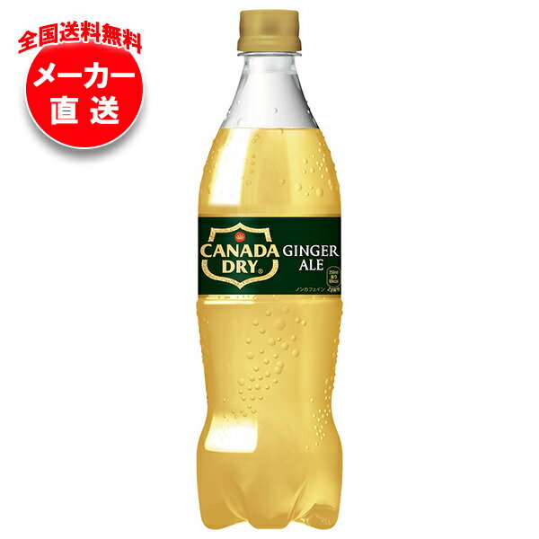 【全国送料無料・メーカー直送品・代引不可】コカコーラ カナダドライ ジンジャーエール 700mlペットボトル×20本入×(2ケース)｜ ジンジャーエール ジンジャエール 炭酸 コーラ