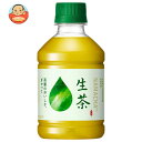 キリン 生茶 280mlペットボトル×24本入×(2ケース)| 送料無料 茶飲料 緑茶 お茶