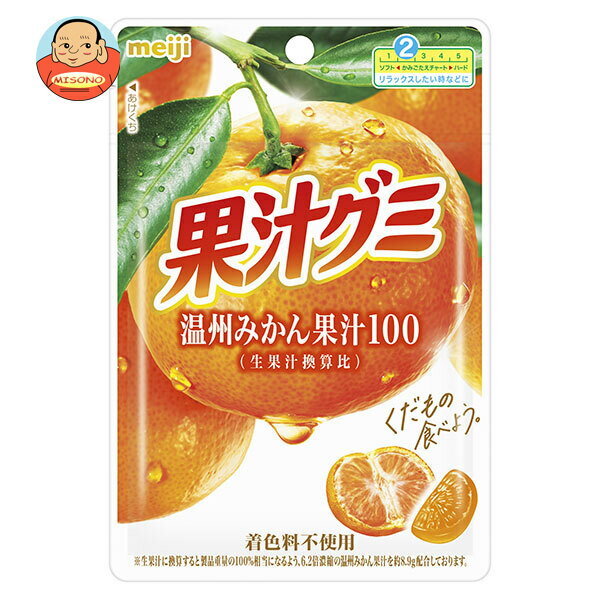 果汁グミ 120袋 モチド10袋 まとめ売り