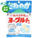 ネコポス アイデアパッケージ 白バラ牛乳使用 ヨーグルトグミ 40g×10袋入| 全国送料無料 お菓子 グミ 乳酸菌入り 白バラ牛乳