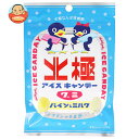 アイデアパッケージ 北極アイスグミ パイン&ミルク 36g×10袋入×(2ケース)| 送料無料 お菓子 グミ アイスキャンディー ひんやり