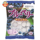 エイワ ブルーベリー マシュマロ 65g×12袋入| 送料無料 お菓子 マシュマロ 袋