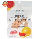 JA全農 ニッポンエール 静岡ルビーグレープフルーツ グミ 40g×10袋入| 送料無料 お菓子 グミ 国産 日本産 全農