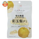 JA全農 ニッポンエール 埼玉県産彩玉梨 グミ 40g×10袋入×(2ケース)| 送料無料 お菓子 グミ 国産 日本産 全農