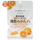 JA全農 ニッポンエール 愛知県産蒲郡みかん グミ 40g×10袋入| 送料無料 お菓子 グミ 国産 日本産 全農