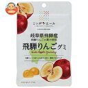 JA全農 ニッポンエール 岐阜県産飛騨りんご グミ 40g×10袋入×(2ケース)| 送料無料 お菓子 グミ 国産 日本産 全農