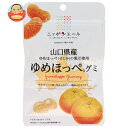 JA全農 ニッポンエール 山口県産ゆめほっぺ グミ 40g×10袋入×(2ケース)| 送料無料 お菓子 グミ 国産 日本産 全農