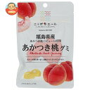 JA全農 ニッポンエール 福島県産あかつき桃 グミ 40g×10袋入| 送料無料 お菓子 グミ 国産 日本産 全農