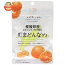 JA全農 ニッポンエール 愛媛県産紅まどんな グミ 40g×10袋入×(2ケース)| 送料無料 お菓子 グミ 国産 日本産 全農