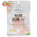 JA全農 ニッポンエール 山県産白桃 グミ 40g×10袋入×(2ケース)| 送料無料 お菓子 グミ 国産 日本産 全農