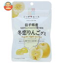JA全農 ニッポンエール 岩手県産冬恋りんご グミ 40g×10袋入×(2ケース)| 送料無料 お菓子 グミ 国産 日本産 全農