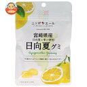 JA全農 ニッポンエール 宮崎県産日向夏 グミ 40g×10袋入×(2ケース)| 送料無料 お菓子 グミ 国産 日本産 全農
