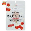 JA全農 ニッポンエール 山形県産さくらんぼ グミ 40g×10袋入×(2ケース)| 送料無料 お菓子 グミ 国産 日本産 全農