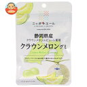 JA全農 ニッポンエール 静岡県産クラウンメロン グミ 40g×10袋入×(2ケース)| 送料無料 お菓子 グミ 国産 日本産 全農