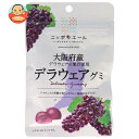 JA全農 ニッポンエール 大阪府産デラウェア グミ 40g×10袋入×(2ケース)| 送料無料 お菓子 グミ 国産 日本産 全農