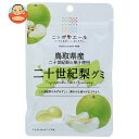 JA全農 ニッポンエール 鳥取県産二十世紀梨 グミ 40g×10袋入| 送料無料 お菓子 グミ 国産 日本産 全農(4)