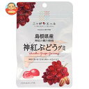 JA全農 ニッポンエール 島根県産神紅ぶどう グミ 40g×10袋入| 送料無料 お菓子 グミ 国産 日本産 全農