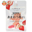 JA全農 ニッポンエール 福岡県産あまおう グミ 40g×10袋入×(2ケース)| 送料無料 お菓子 グミ 国産 日本産 全農