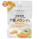 JA全農 ニッポンエール 北海道産夕張メロン グミ 40g×10袋入×(2ケース)| 送料無料 お菓子 グミ 国産 日本産 全農