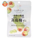 JA全農 ニッポンエール 和歌山県産南高梅 グミ 40g×10袋入×(2ケース)| 送料無料 お菓子 グミ 国産 日本産 全農