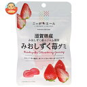 JA全農 ニッポンエール 滋賀県産みおしずく苺 グミ 40g×10袋入| 送料無料 お菓子 グミ 国産 日本産 全農
