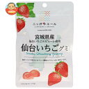 JA全農 ニッポンエール 宮城県産仙台いちご グミ 40g×10袋入| 送料無料 お菓子 グミ 国産 日本産 全農(4)