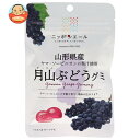 JA全農 ニッポンエール 山形県産月山ぶどう グミ 40g×10袋入×(2ケース)| 送料無料 お菓子 グミ 国産 日本産 全農