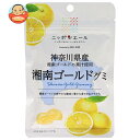 JA全農 ニッポンエール 神奈川県産湘南ゴールド グミ 40g×10袋入| 送料無料 お菓子 グミ 国産 日本産 全農