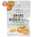 JA全農 ニッポンエール 和歌山県産有田みかん グミ 40g×10袋入×(2ケース)| 送料無料 お菓子 グミ 国産 日本産 全農