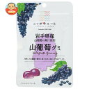 JA全農 ニッポンエール 岩手産山葡萄 グミ 40g×10袋入×(2ケース)| 送料無料 お菓子 グミ 国産 日本産 全農