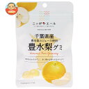 JA全農 ニッポンエール 千葉県産豊水梨 グミ 40g×10袋入×(2ケース)| 送料無料 お菓子 グミ 国産 日本産 全農