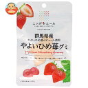 JA全農 ニッポンエール 群馬やよいひめ苺 グミ 40g×10袋入×(2ケース)| 送料無料 お菓子 グミ 国産 日本産 全農