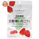 JA全農 ニッポンエール 奈良県古都華いちご グミ 40g×10袋入| 送料無料 お菓子 グミ 国産 日本産 全農