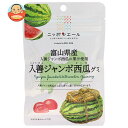 JA全農 ニッポンエール富山県入善ジャンボ西瓜 グミ 40g×10袋入×(2ケース)| 送料無料 お菓子 グミ 国産 日本産 全農