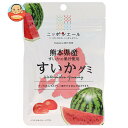 JA全農 ニッポンエール 熊本県産すいか グミ 40g×10袋入×(2ケース)| 送料無料 お菓子 グミ 国産 日本産 全農