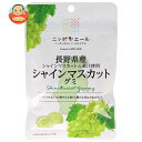 JA全農 ニッポンエール 長野県産シャインマスカット グミ 40g×10袋入×(2ケース)| 送料無料 お菓子 グミ 国産 日本産 全農