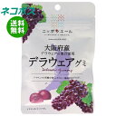 ネコポス JA全農 ニッポンエール 大阪府産デラウェア グミ 40g×10袋入| 全国送料無料 お菓子 グミ 国産 日本産 全農
