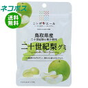 ネコポス JA全農 ニッポンエール 鳥取県産二十世紀梨 グミ 40g×10袋入| 全国送料無料 お菓子 グミ 国産 日本産 全農
