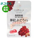 ネコポス JA全農 ニッポンエール 島根県産神紅ぶどう グミ 40g×10袋入| 全国送料無料 お菓子 グミ 国産 日本産 全農