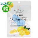 ネコポス JA全農 ニッポンエール 八丈島産八丈島レモン グミ 40g×10袋入| 全国送料無料 お菓子 グミ 国産 日本産 全農