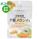 ネコポス JA全農 ニッポンエール 北海道産夕張メロン グミ 40g×10袋入| 全国送料無料 お菓子 グミ 国産 日本産 全農