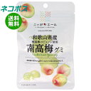 ネコポス JA全農 ニッポンエール 和歌山県産南高梅 グミ 40g×10袋入| 全国送料無料 お菓子 グミ 国産 日本産 全農