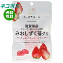 ネコポス JA全農 ニッポンエール 滋賀県産みおしずく苺 グミ 40g×10袋入| 全国送料無料 お菓子 グミ 国産 日本産 全農