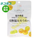 ネコポス JA全農 ニッポンエール 福井県産完熟福太夫梅 グミ 40g×10袋入| 全国送料無料 お菓子 グミ 国産 日本産 全農